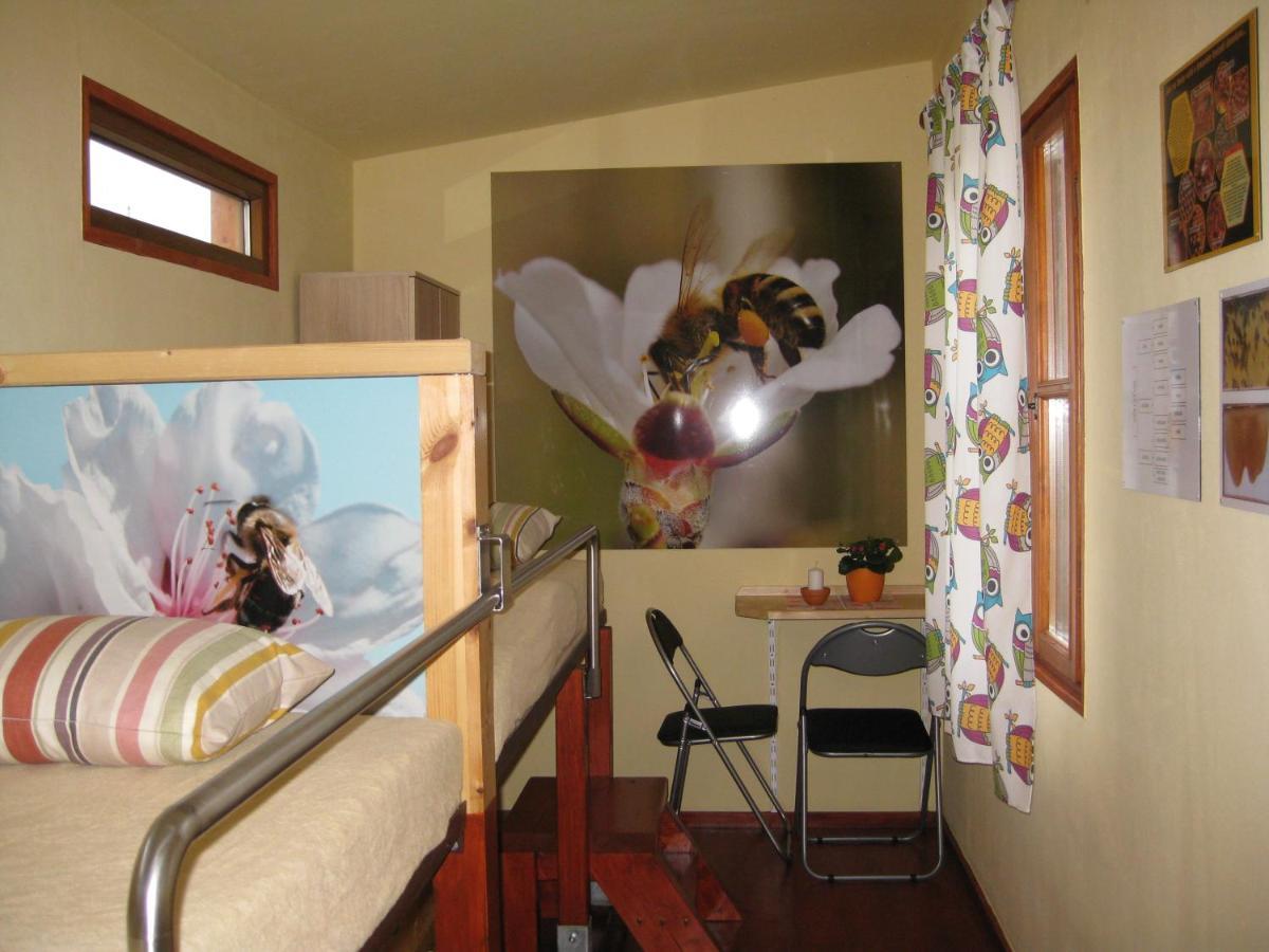 Apartmany Vcelka Hranice u Novych Hradu Zewnętrze zdjęcie